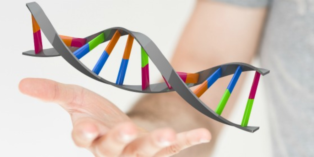 Test genetic pentru nutriție personalizată